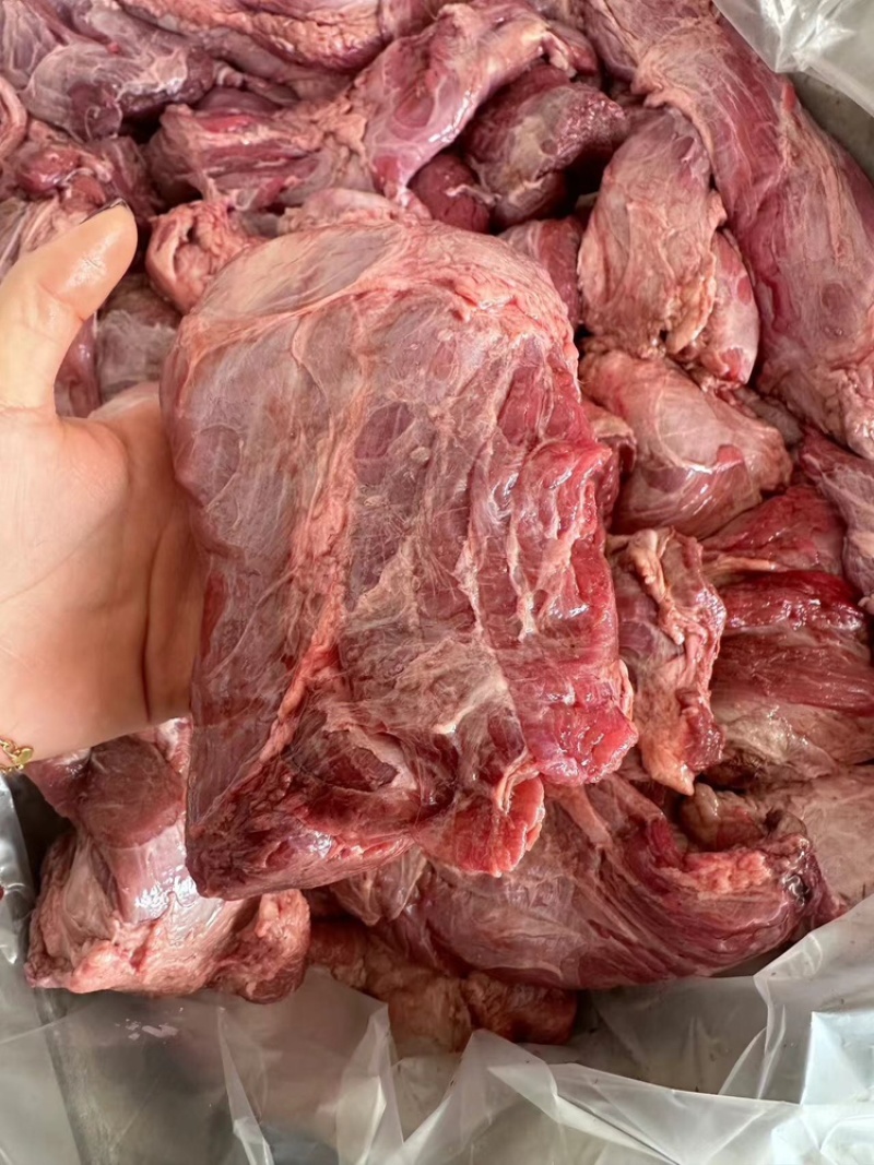 牛铃铛肉产地直发，可视频看货，欢迎来电