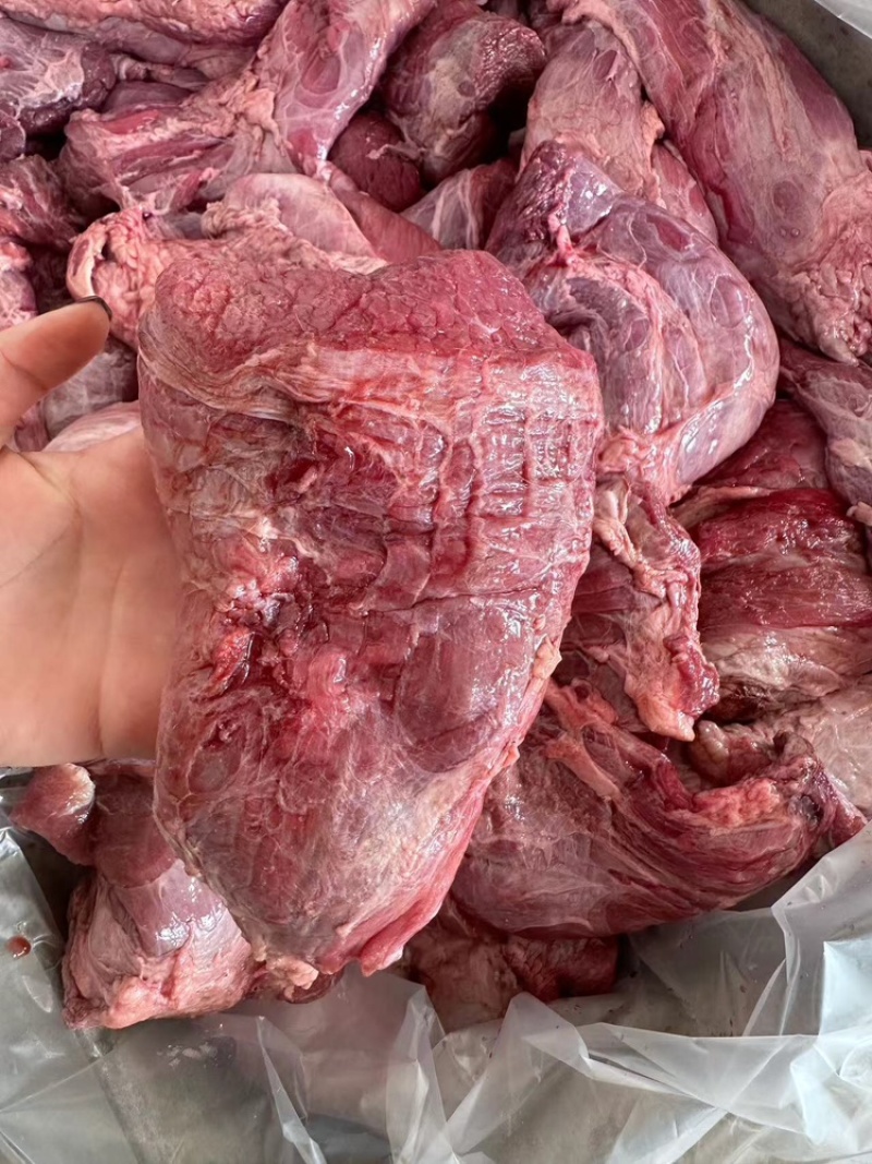 牛铃铛肉产地直发，可视频看货，欢迎来电
