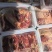 国产草地牛肉纯干精修10斤独立包装有长期稳定供应能