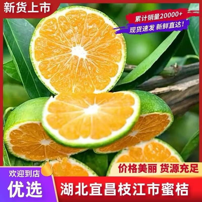 湖南蜜桔精品蜜桔精品蜜橘大量上市，果皮光滑细腻