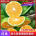 湖北蜜桔宜昌特早蜜橘精品蜜橘个头大，皮薄多汁，果型漂亮