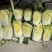 黄心菜白菜净菜4~6斤有需要的客户联系我，