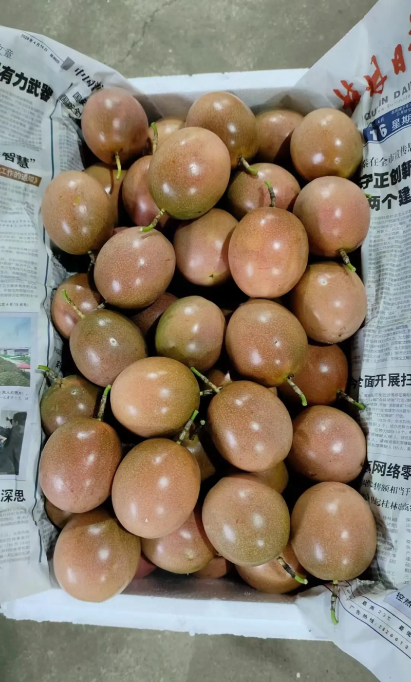 台农百香果