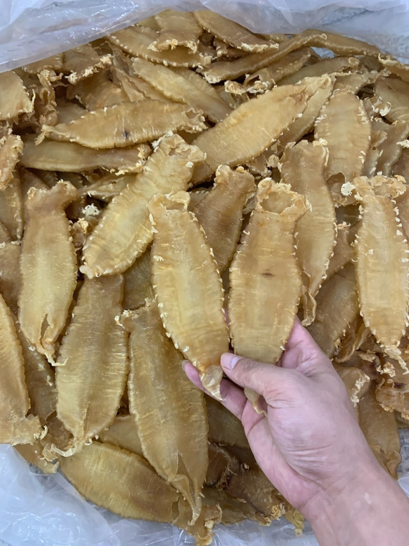 刺花赤嘴条