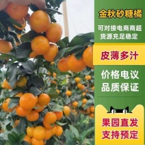 精品金秋砂糖橘现货供应现摘现发全国发货市场商超电商