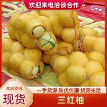三红柚大量上市价格美丽产地直发四川乐山来电选购便宜
