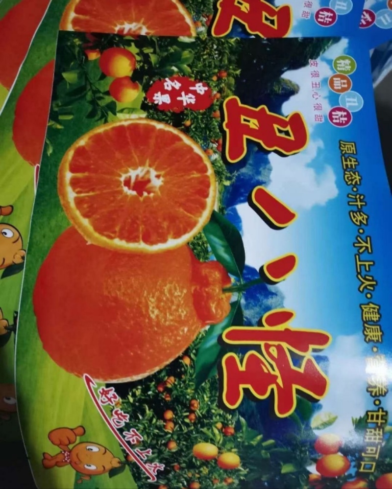 丑桔/大炮果假丑八怪/不知火/耙耙柑/基地直供