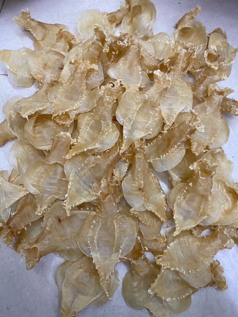 刺花赤嘴母鱼胶花胶