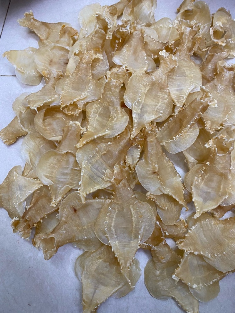 刺花赤嘴母鱼胶花胶