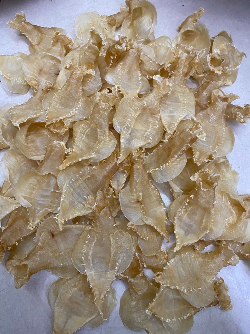 刺花赤嘴母鱼胶花胶