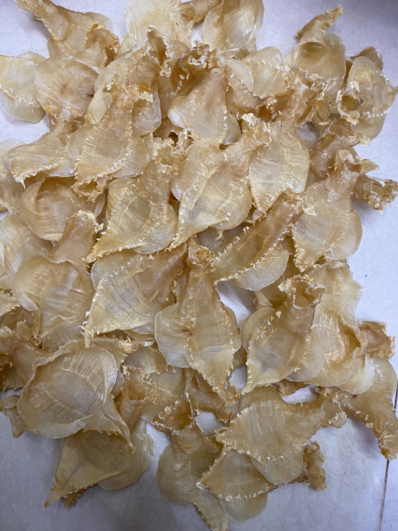 刺花赤嘴母鱼胶花胶