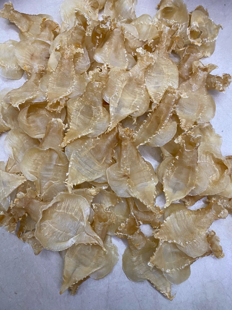 刺花赤嘴母鱼胶花胶