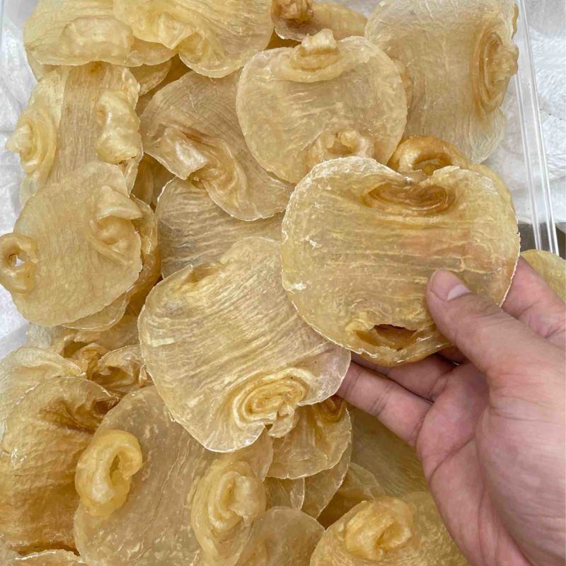 白鳘赤嘴鱼胶花胶