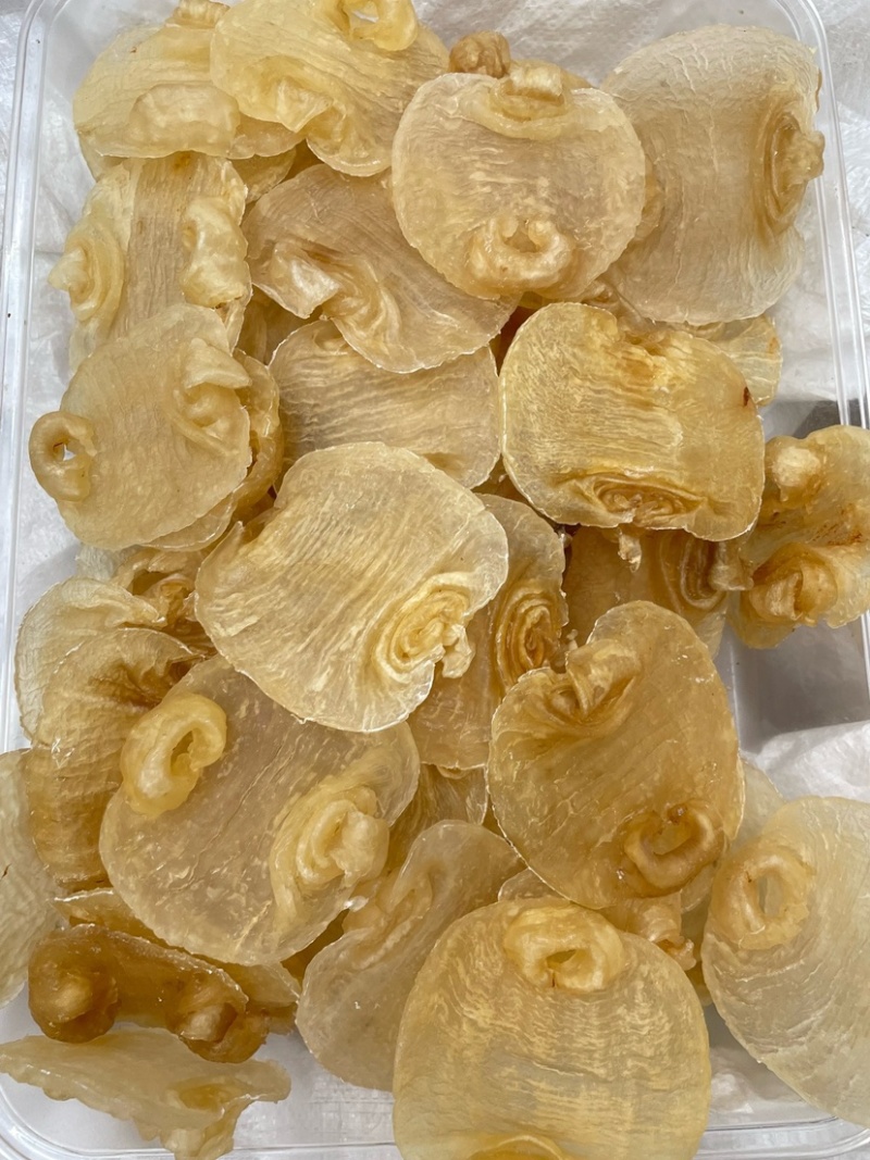 白鳘赤嘴鱼胶花胶