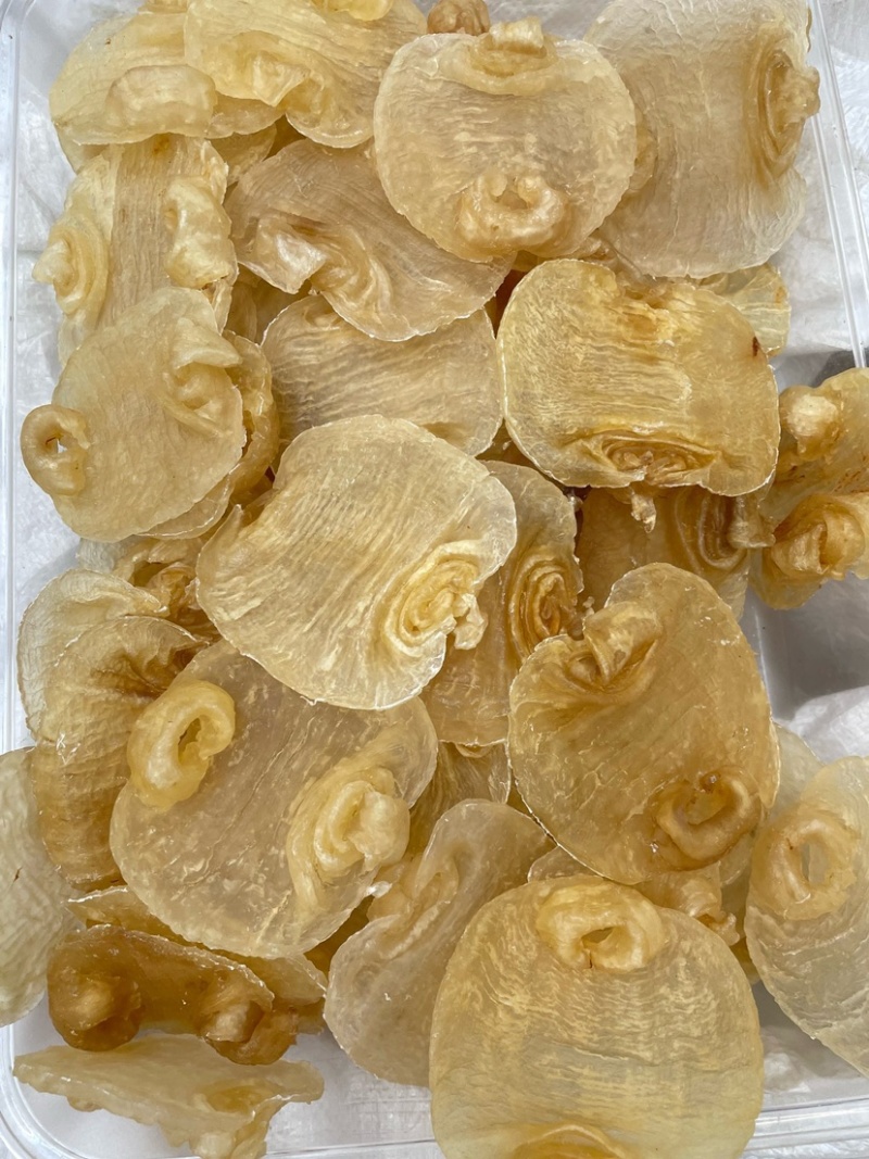 白鳘赤嘴鱼胶花胶