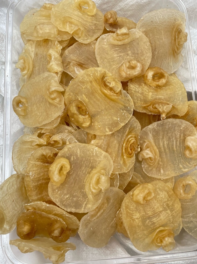 白鳘赤嘴鱼胶花胶