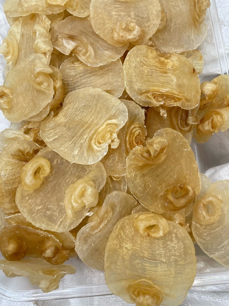 白鳘赤嘴鱼胶花胶