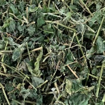 甜绞股蓝【包邮】三斤起发货可批量可零售量大从优
