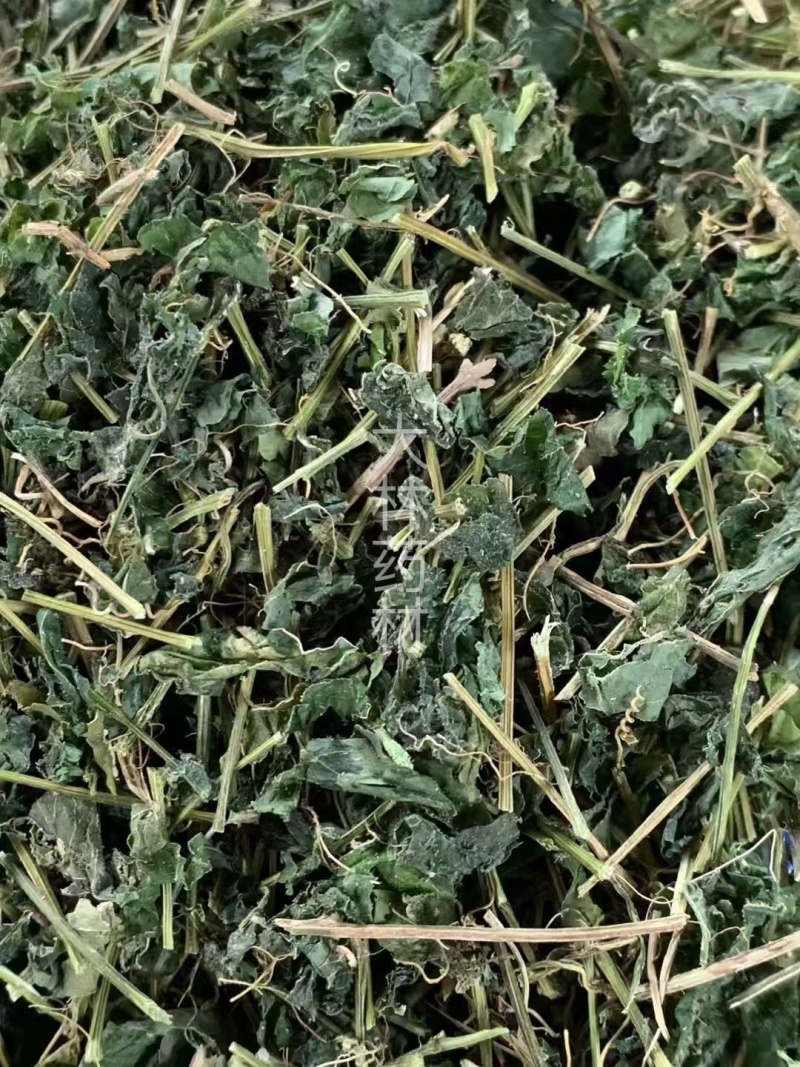 甜绞股蓝【包邮】三斤起发货可批量可零售量大从优
