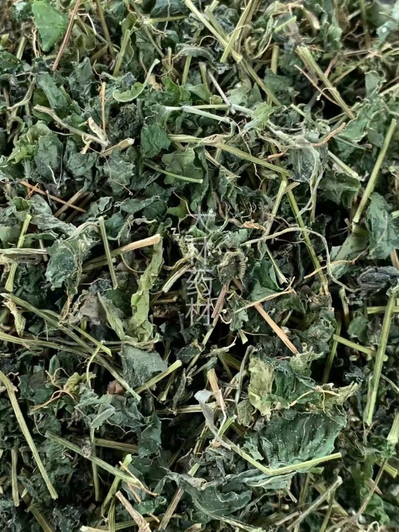 甜绞股蓝【包邮】三斤起发货可批量可零售量大从优
