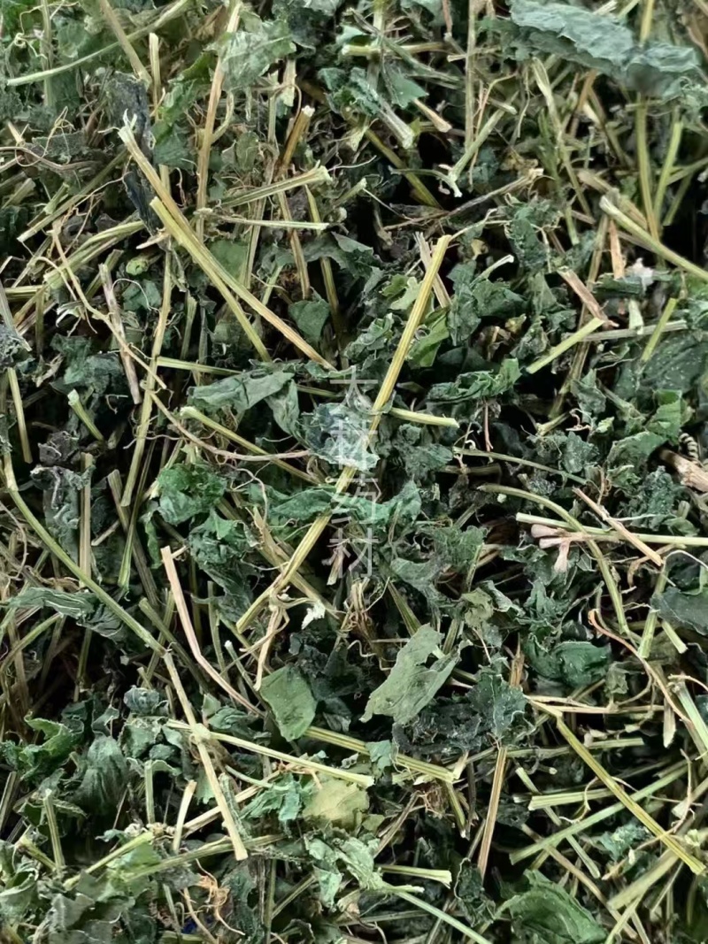 甜绞股蓝【包邮】三斤起发货可批量可零售量大从优
