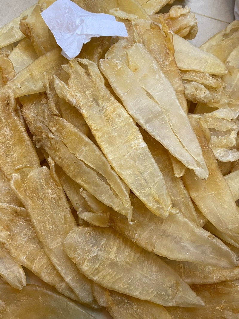 北海母鳘鱼胶花胶