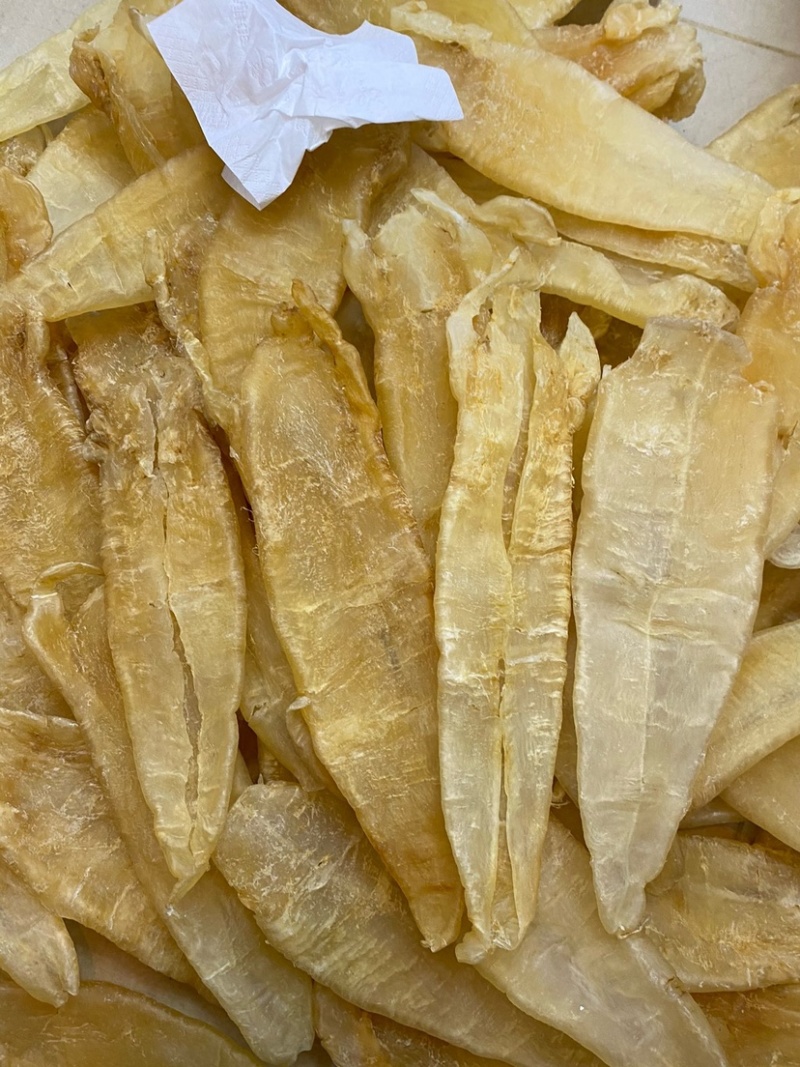 北海母鳘鱼胶花胶