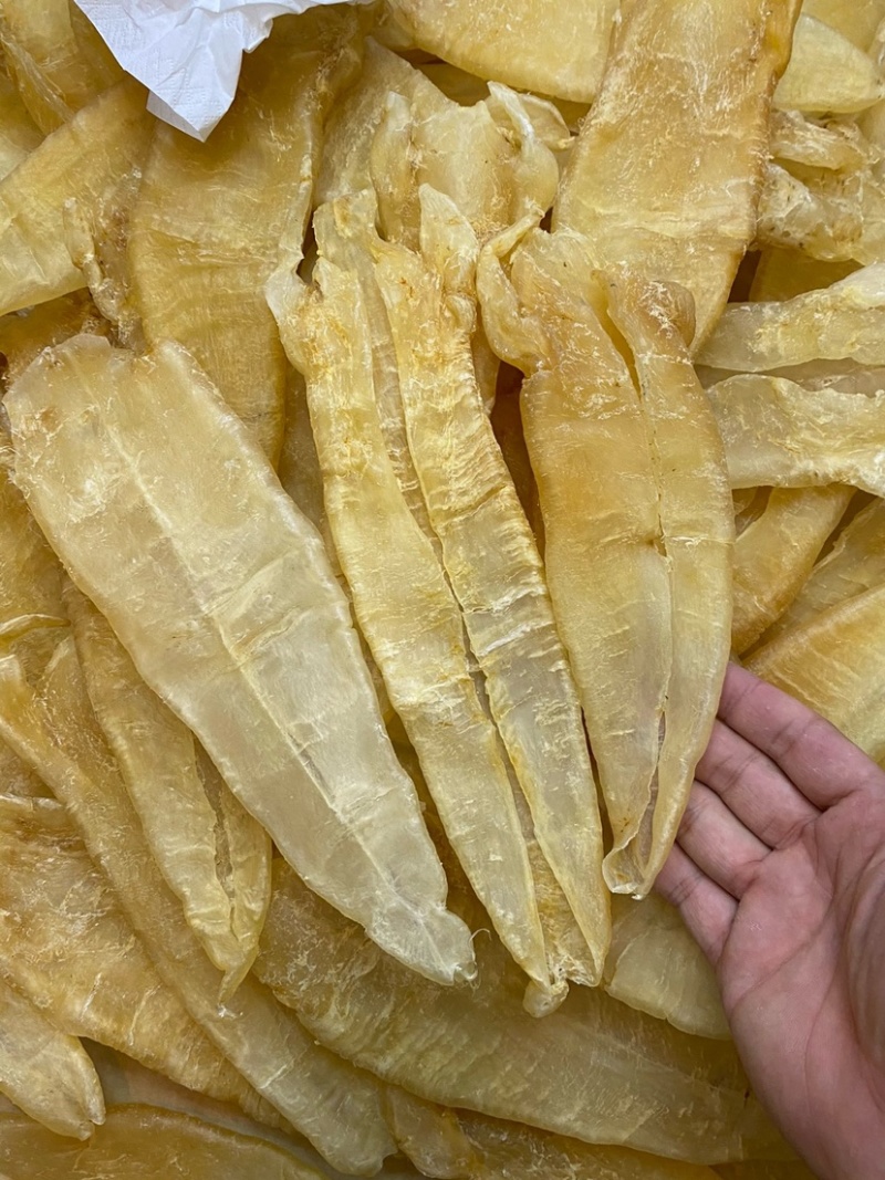 北海母鳘鱼胶花胶