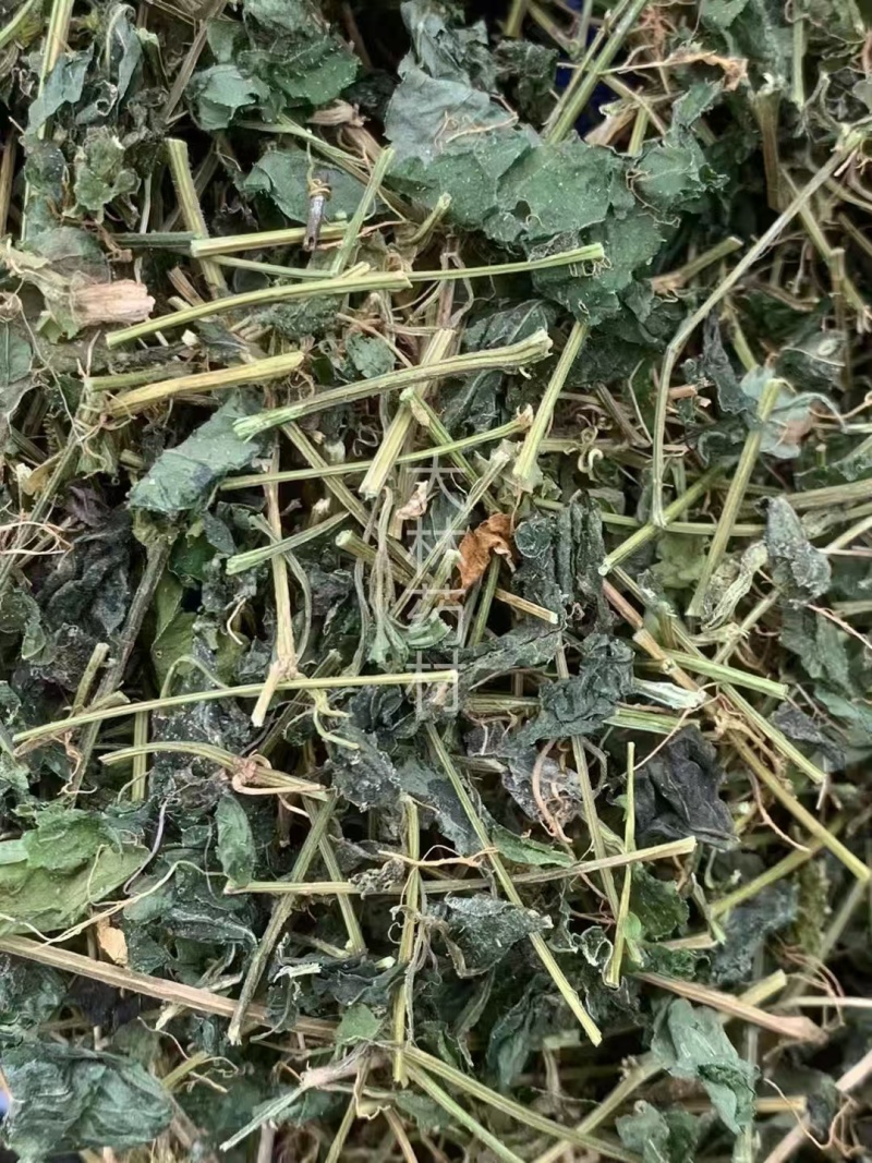 甜绞股蓝【包邮】三斤起发货可批量可零售量大从优