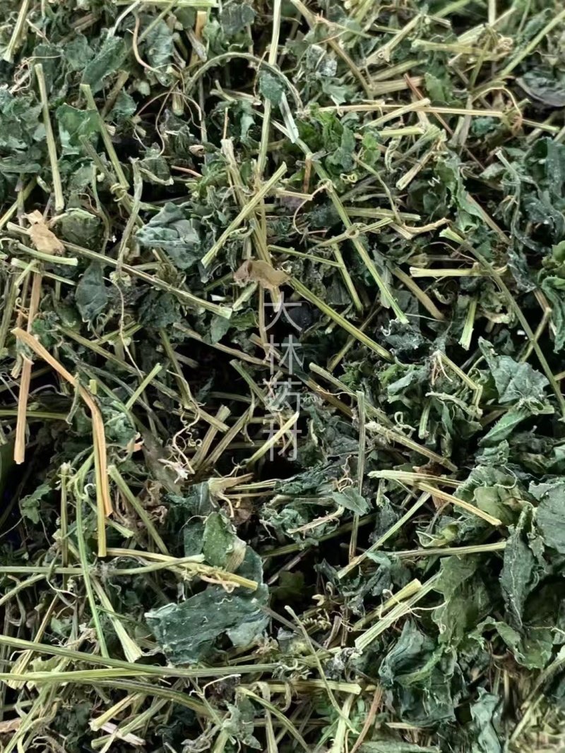 甜绞股蓝【包邮】三斤起发货可批量可零售量大从优