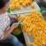 云南丽江精品芒果干片大肉厚酸甜可口可包邮发货