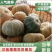 三色栗栗贝贝南瓜粉糯香甜产地直发量大优惠品质保证