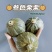 三色栗栗贝贝南瓜粉糯香甜产地直发量大优惠品质保证