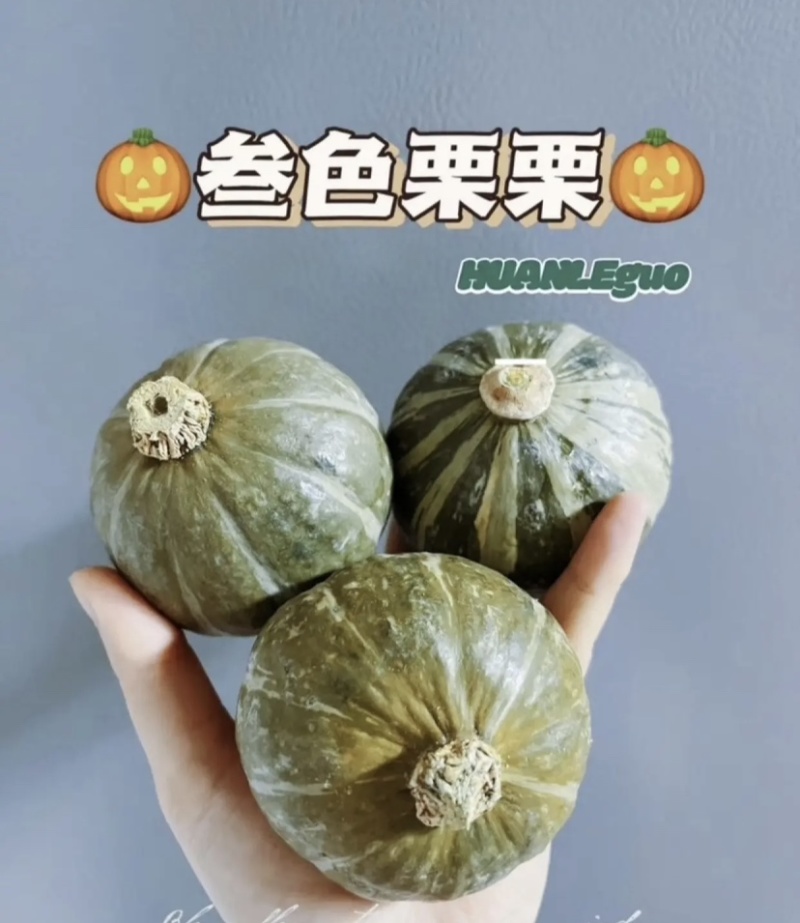 三色栗栗贝贝南瓜粉糯香甜产地直发量大优惠品质保证