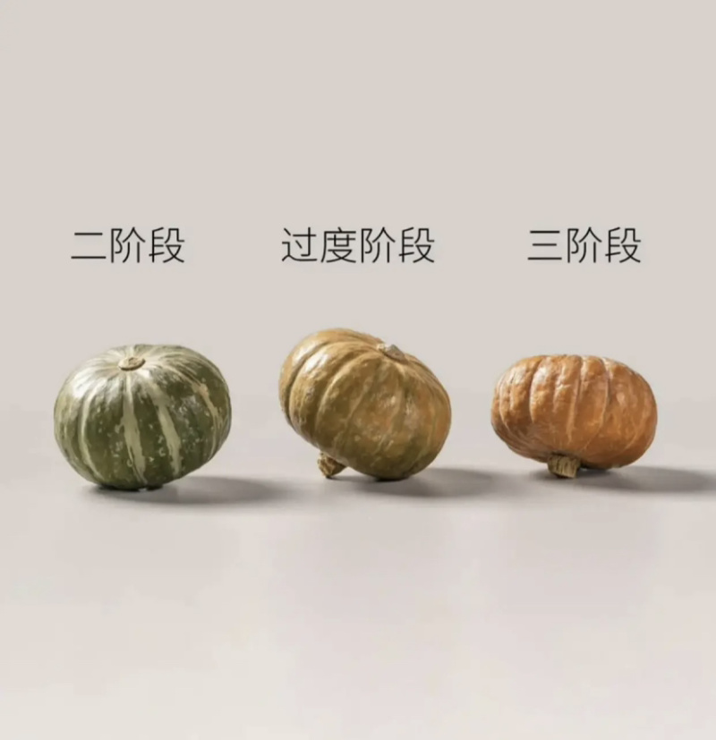 三色栗栗贝贝南瓜粉糯香甜产地直发量大优惠品质保证