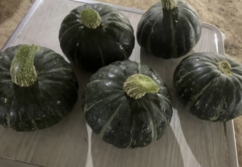 三色栗栗贝贝南瓜粉糯香甜产地直发量大优惠品质保证