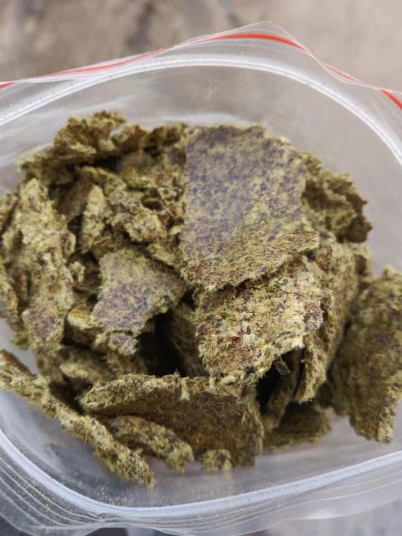 棉籽饼肥棉粕油厂直发货源稳定果园菌棚土地改良用