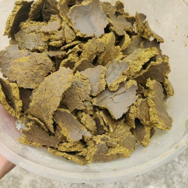 棉粕棉籽饼原料果蔬底肥用棉籽饼常年供货货源充足