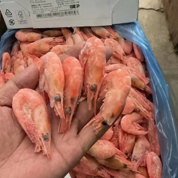 北极虾，货量充足，规格全。品质很好，常年有货，欢迎咨询