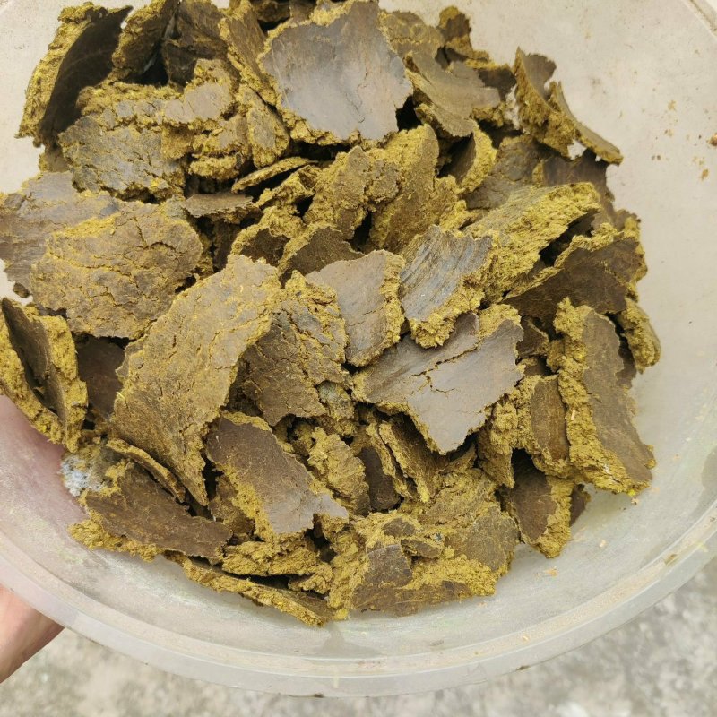 棉籽饼原料果蔬底肥棉粕油厂直发免发酵