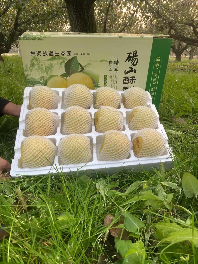精品【酥梨】砀山酥梨品质保证个头均匀包熟包甜质优价廉