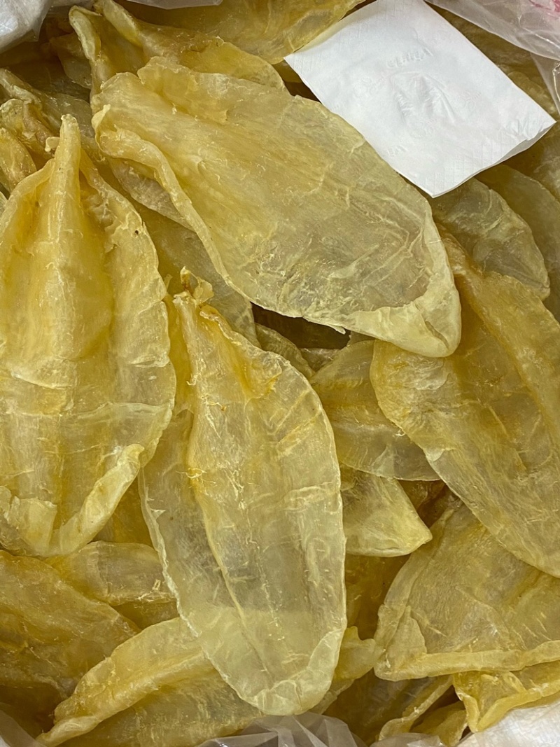 苏里南北海母鳘鱼胶花胶
