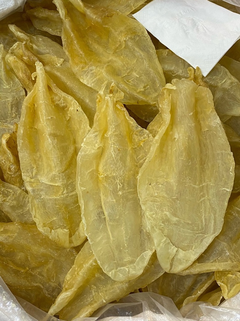 苏里南北海母鳘鱼胶花胶