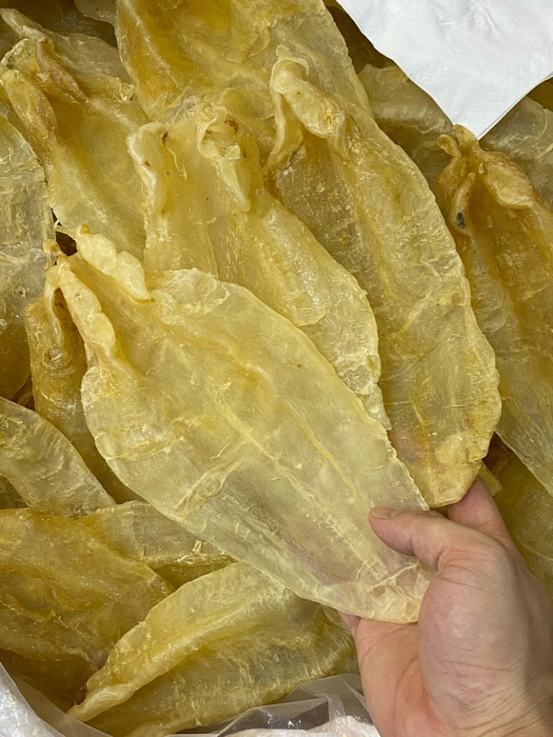 苏里南北海母鳘鱼胶花胶