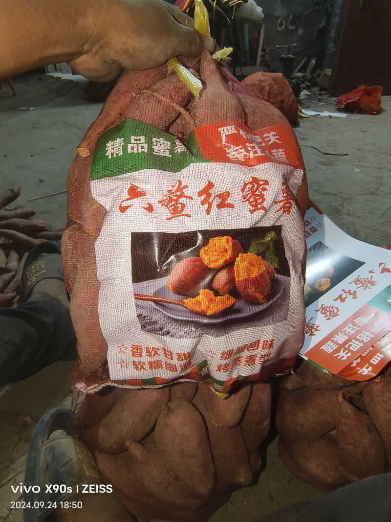 红薯