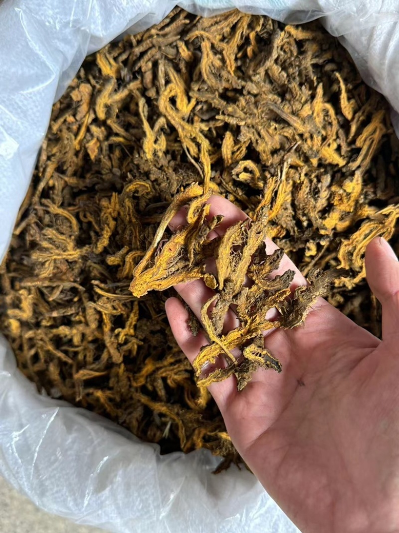 黄连正品黄连片黄莲鸡爪黄莲黄连个实物拍摄单支连