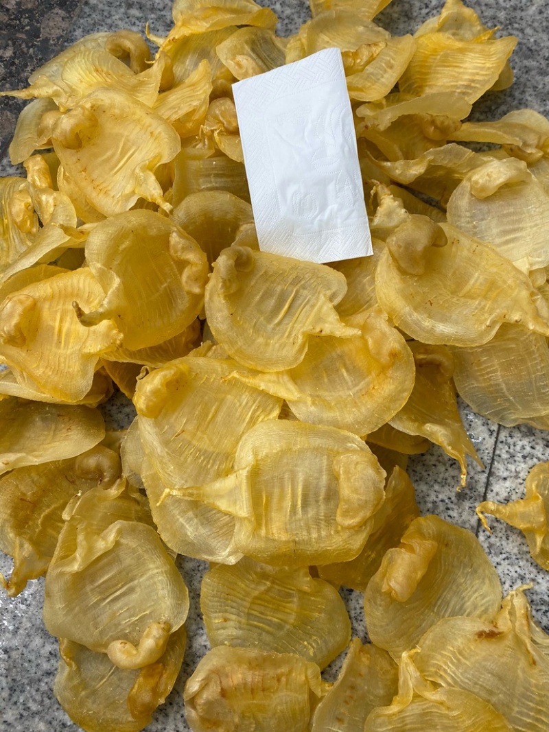 湛江赤嘴母鳘鱼胶花胶