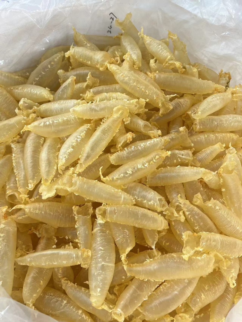 湛江赤嘴筒鳘鱼胶花胶