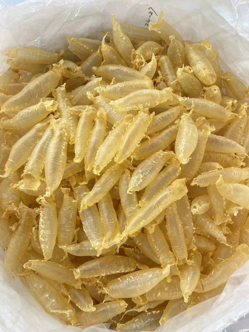 湛江赤嘴筒鳘鱼胶花胶