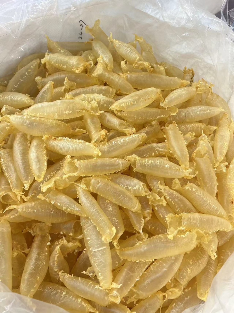 湛江赤嘴筒鳘鱼胶花胶